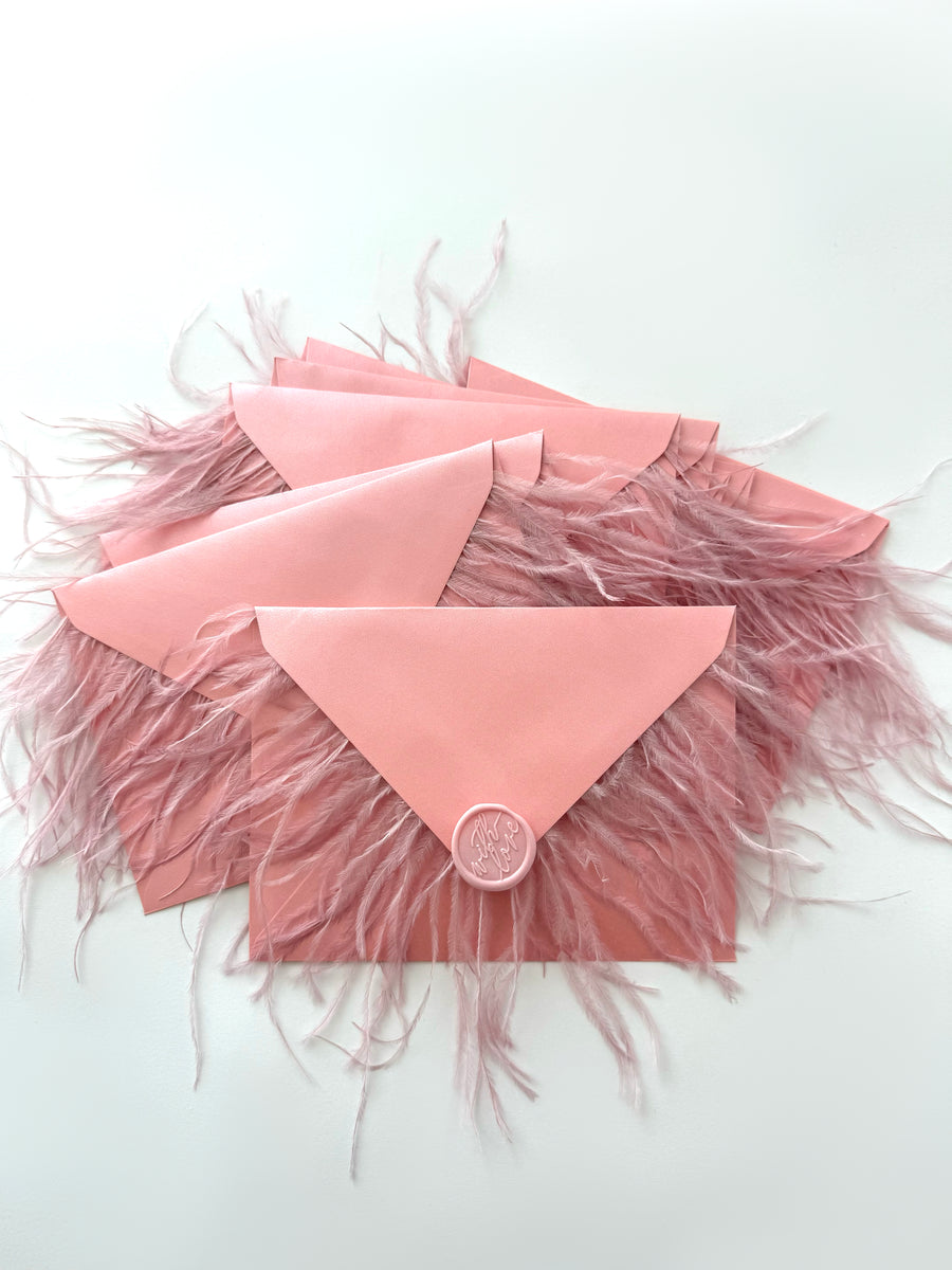 hermes ostrich feather envelopes