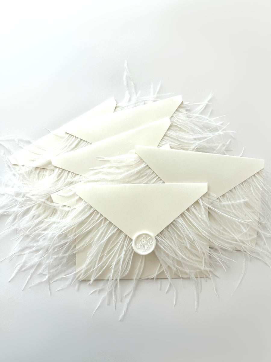 hermes ostrich feather envelopes